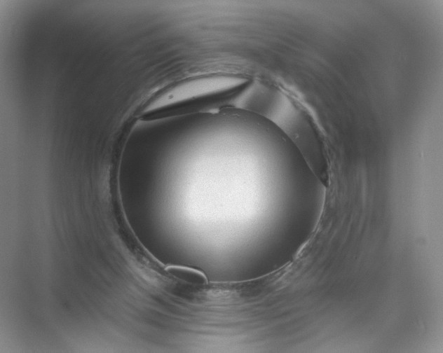 X0000073980154200609051920