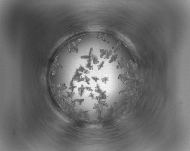 X0000073980155200609051920