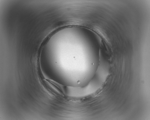 X0000073980156200609051920