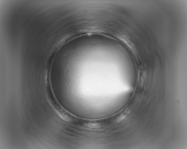 X0000073980157200609051920