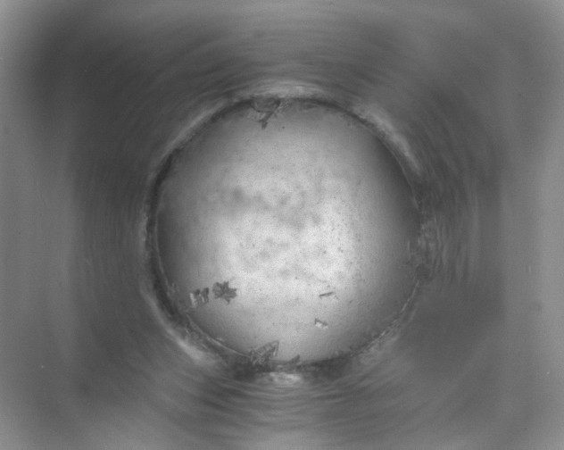 X0000073980159200609051920