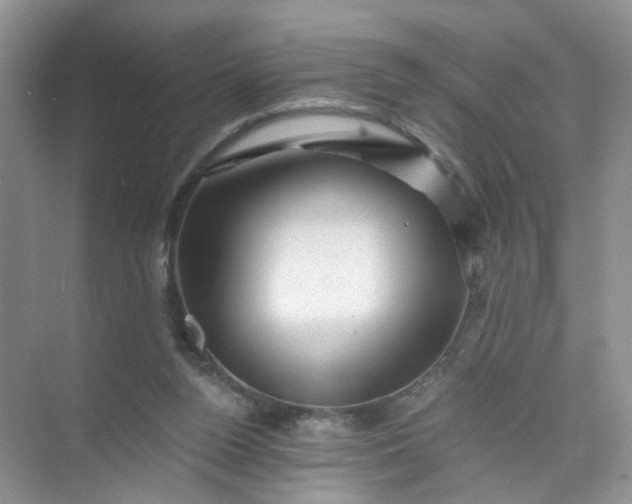 X0000073980160200609051920