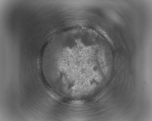 X0000073980161200609051920