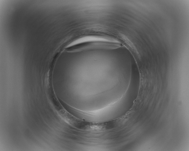 X0000073980163200609051920