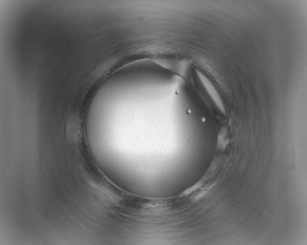 X0000073980164200609051920