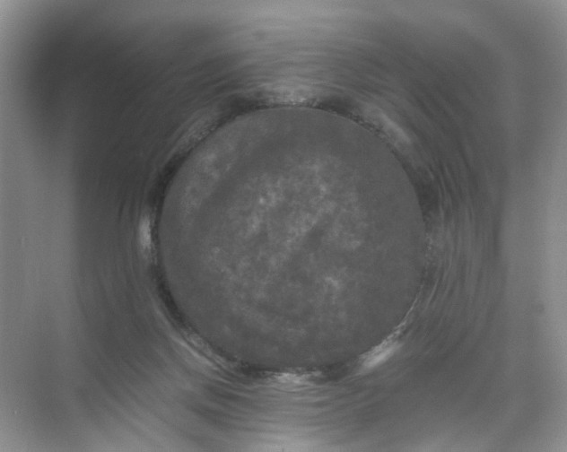 X0000073980166200609051920