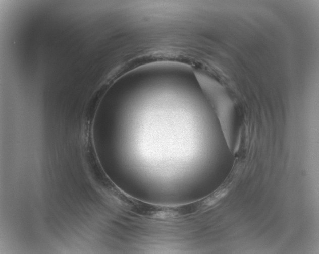 X0000073980168200609051920