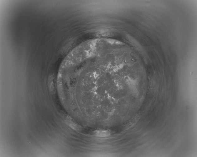 X0000073980169200609051920