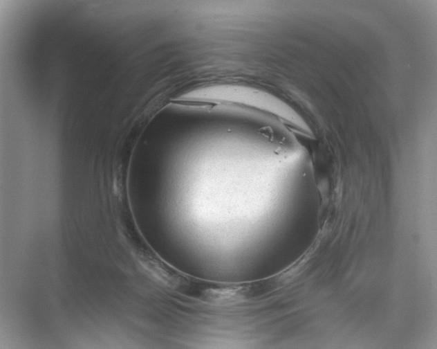 X0000073980170200609051920