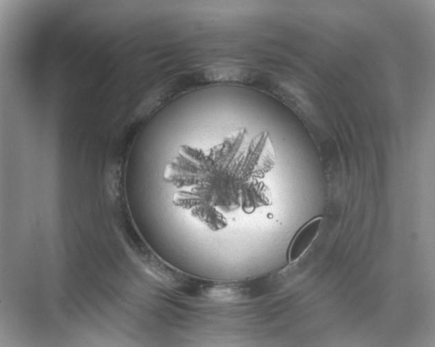 X0000073980171200609051920