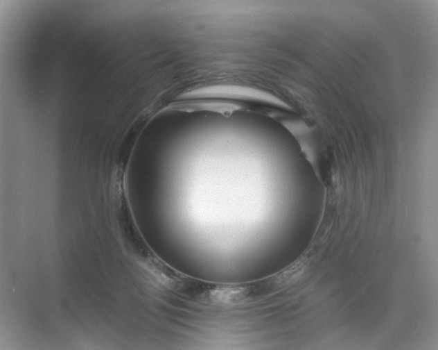 X0000073980172200609051920