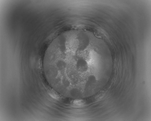 X0000073980173200609051920