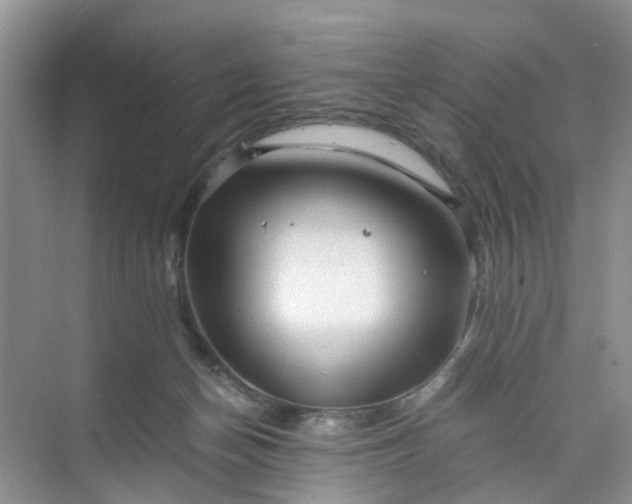 X0000073980174200609051920