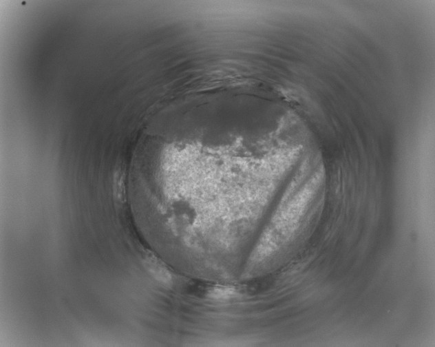 X0000073980177200609051920