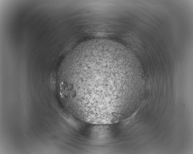 X0000073980179200609051920