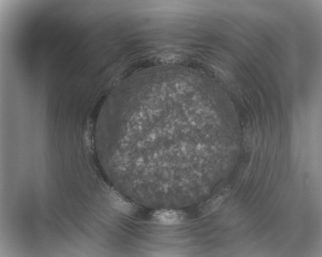 X0000073980181200609051920