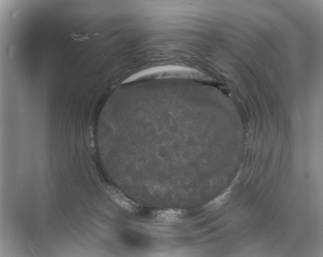 X0000073980182200609051920