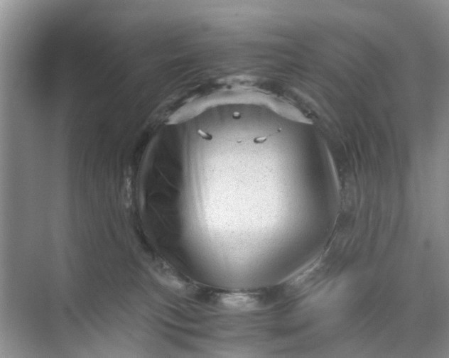 X0000073980183200609051920