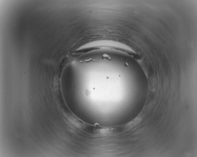 X0000073980184200609051920