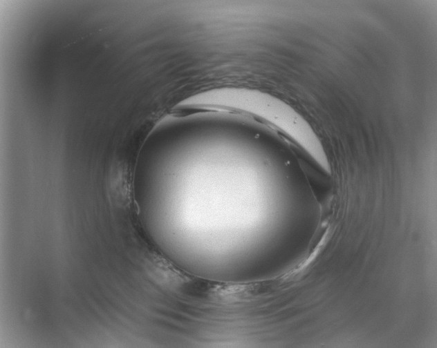 X0000073980186200609051920