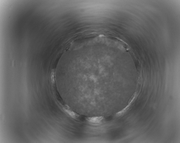 X0000073980191200609051921