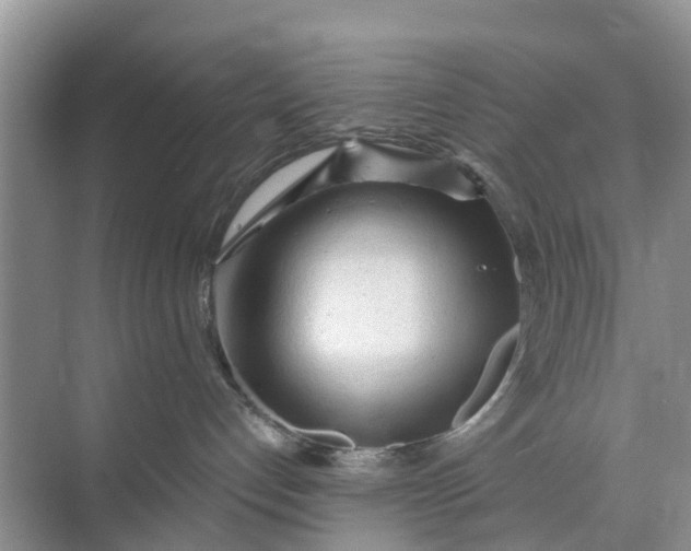 X0000073980192200609051921