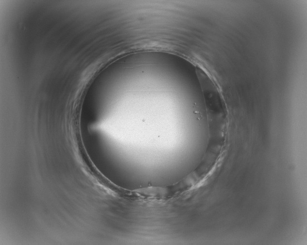 X0000073980193200609051920