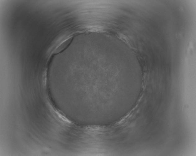 X0000073980194200609051920