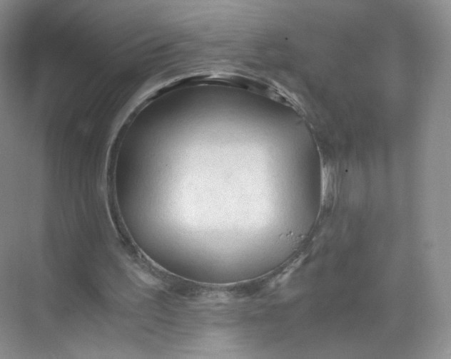 X0000073980195200609051920