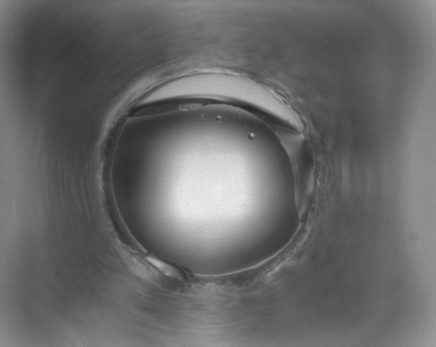 X0000073980197200609051920