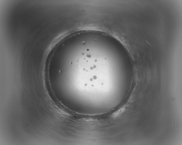 X0000073980199200609051920