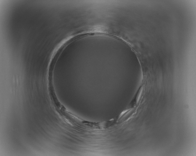 X0000073980200200609051920