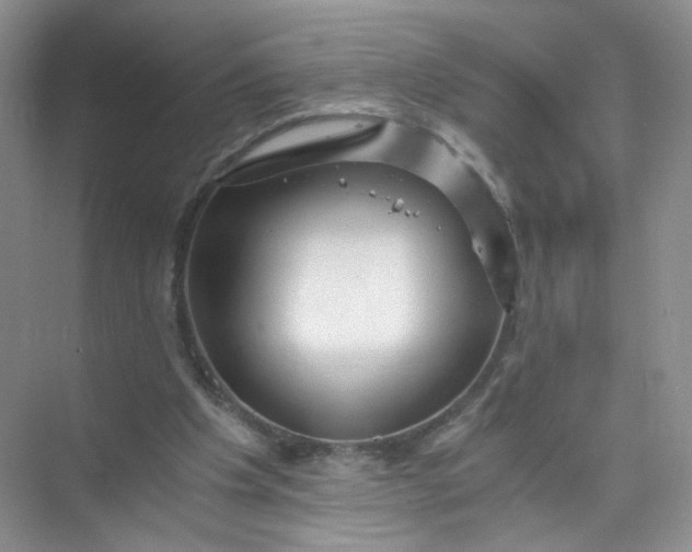 X0000073980201200609051920