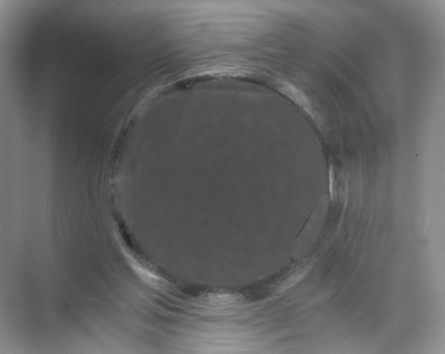 X0000073980205200609051920