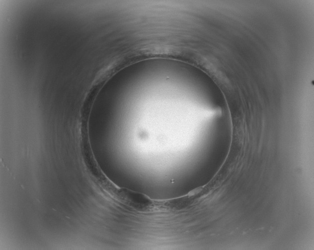 X0000073980207200609051920