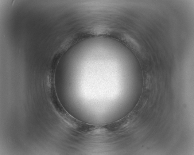 X0000073980210200609051919