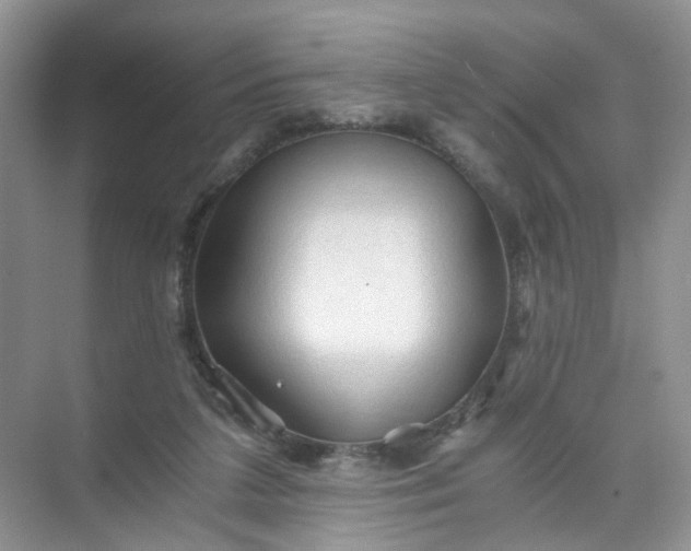 X0000073980211200609051919