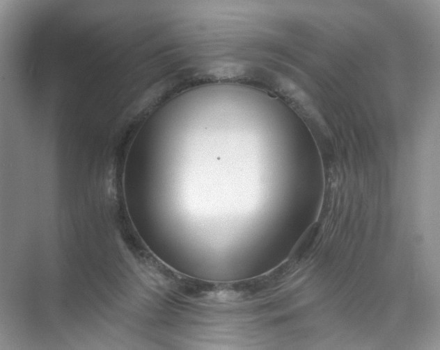 X0000073980212200609051919