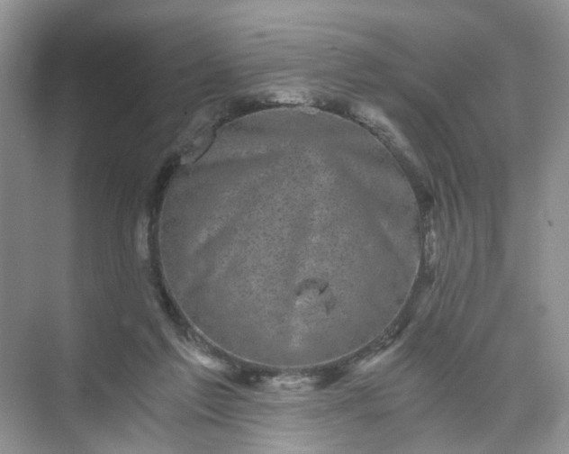 X0000073980213200609051919