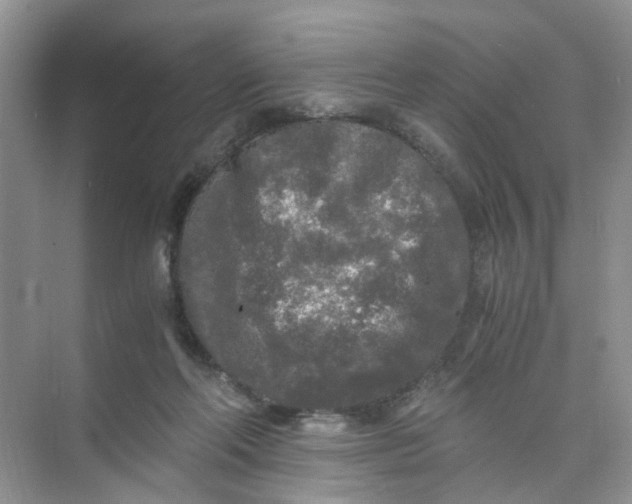 X0000073980214200609051919