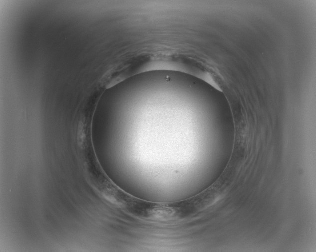 X0000073980215200609051919