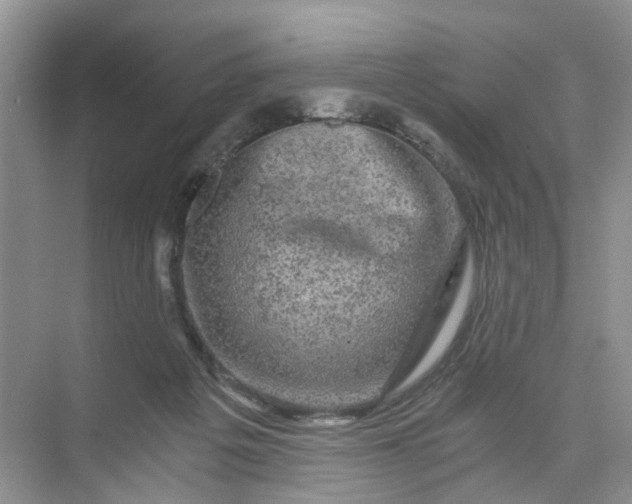 X0000073980217200609051919