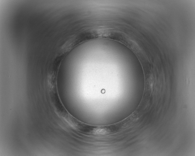 X0000073980218200609051919