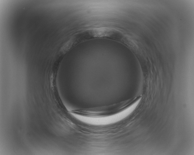 X0000073980219200609051919