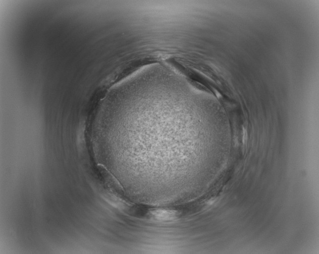 X0000073980221200609051919