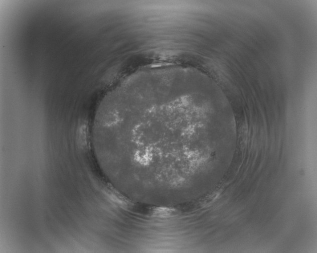 X0000073980222200609051919