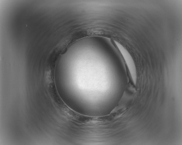 X0000073980224200609051919