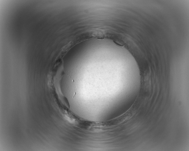 X0000073980228200609051919