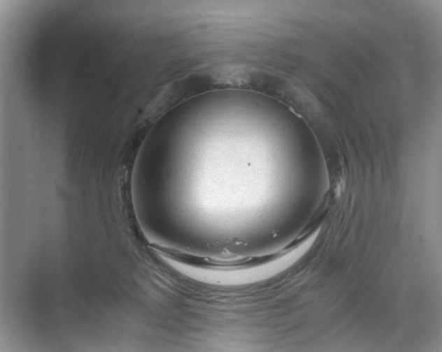 X0000073980229200609051919