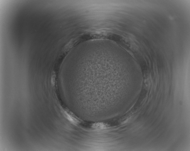 X0000073980231200609051919